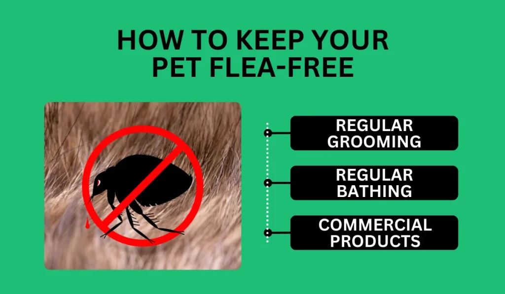 How to Keep Your Pet Flea-Free