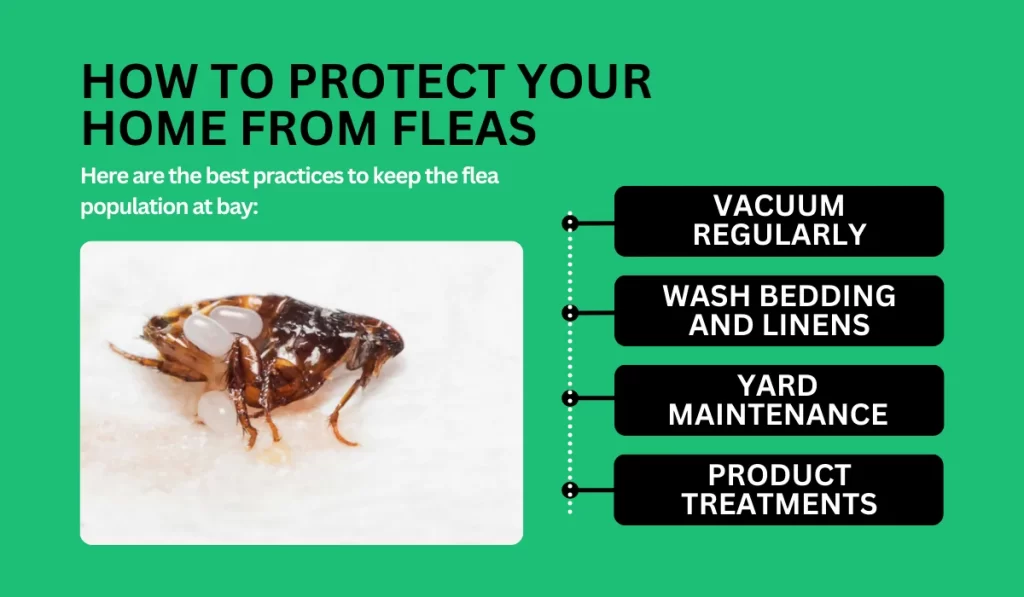 How to Protect Your Home from Fleas