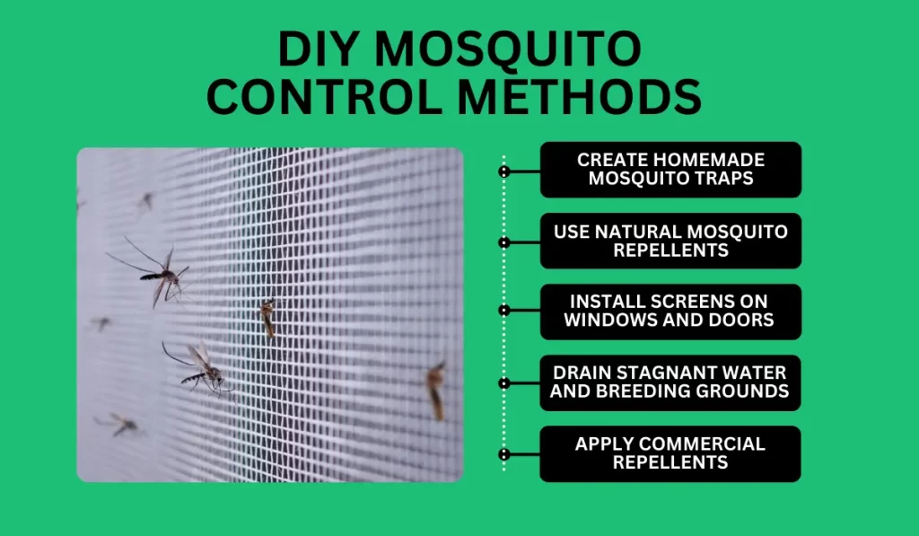 DIY Mosquito Control Methods 