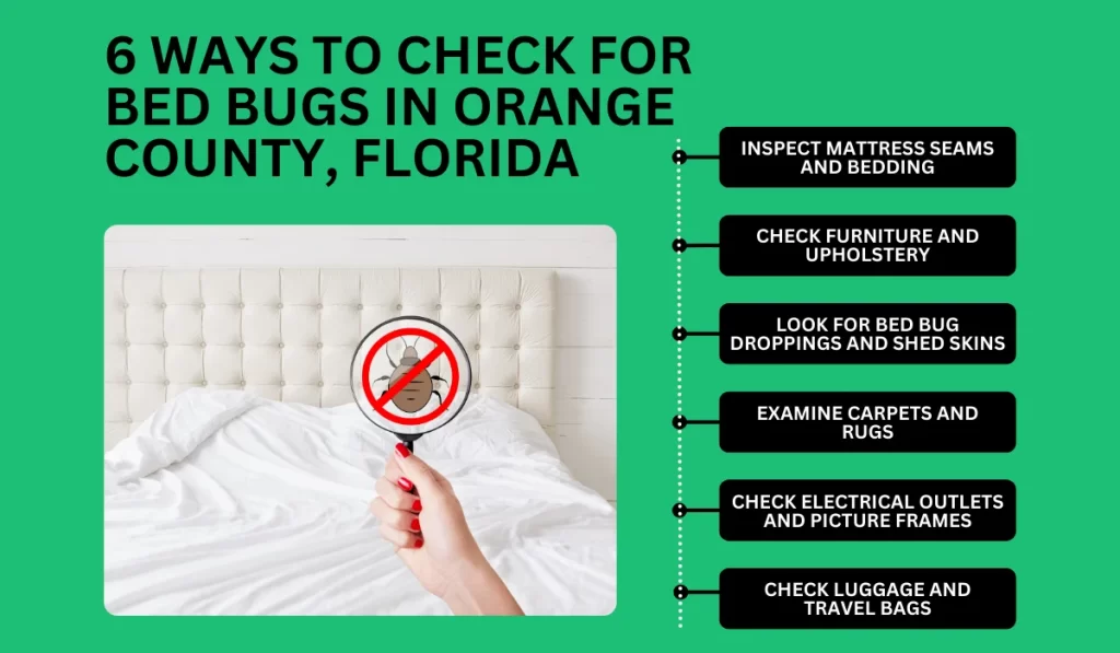 Ways to Check for Bed Bugs in Orange County, Florida