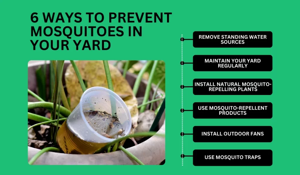 6 Ways to Prevent Mosquitoes in Your Yard