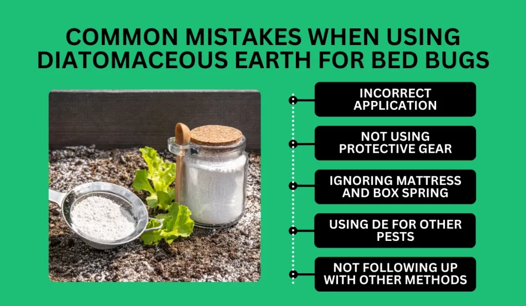 Common Mistakes When Using Diatomaceous Earth for Bed Bugs