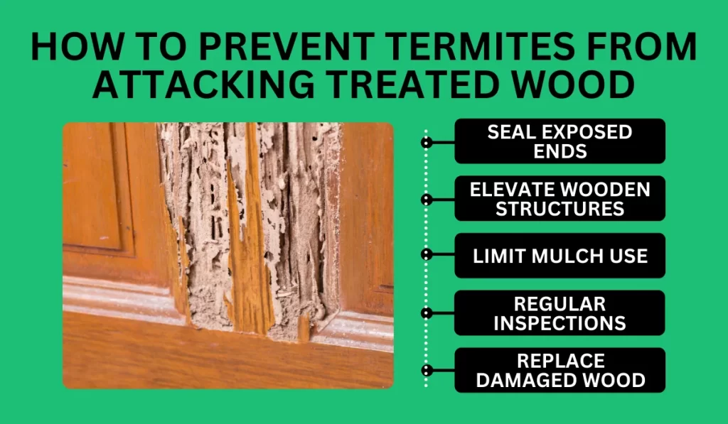 Prevent Termites