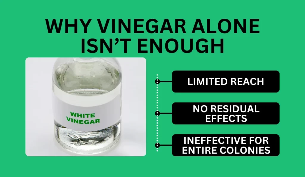 Why Vinegar Alone Isn’t Enough