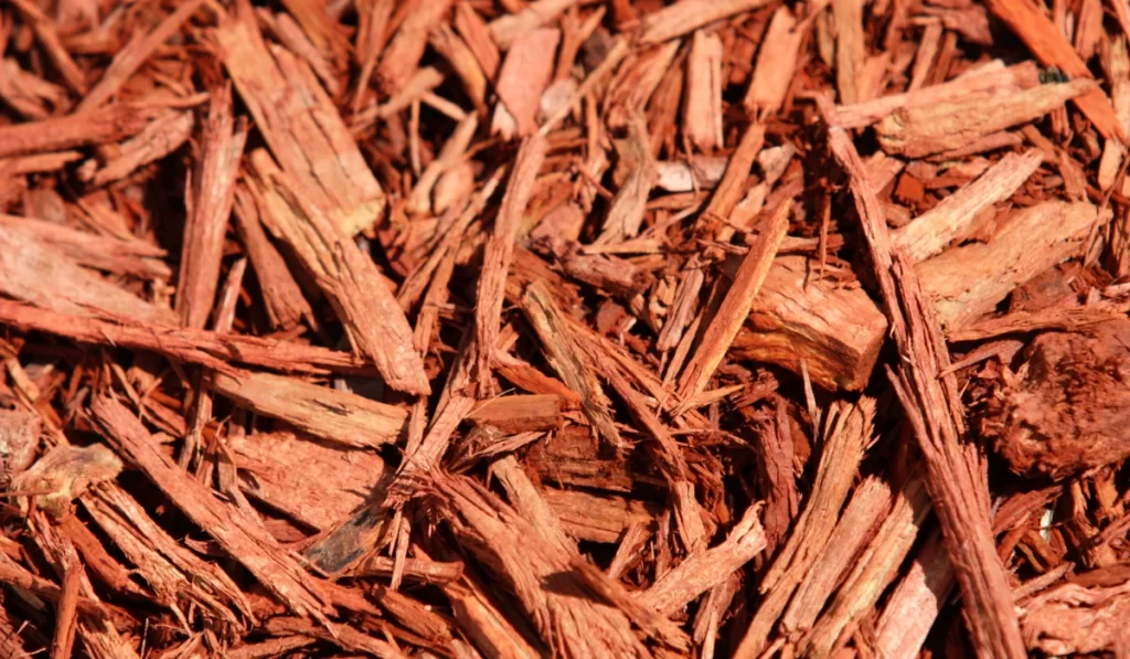 cypress mulch