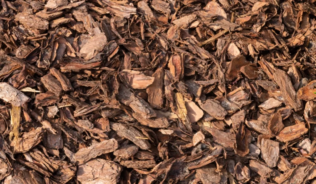 pine bark mulch