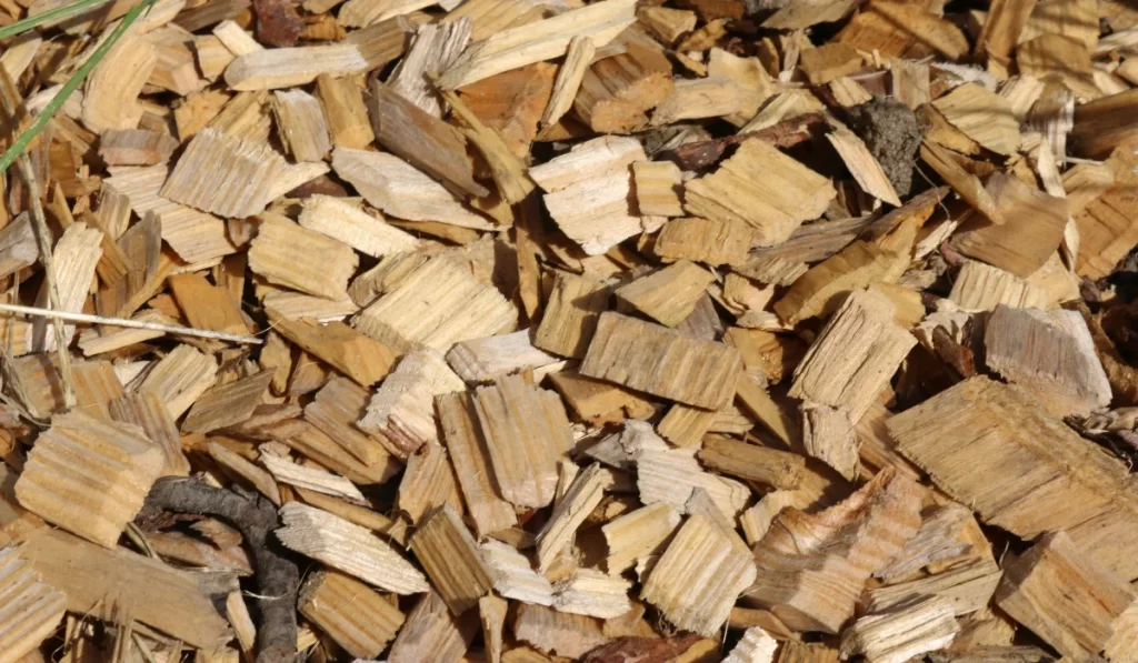 wood chip mulch