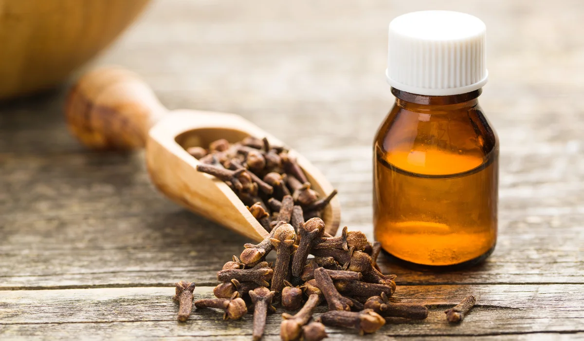 Clove Oil