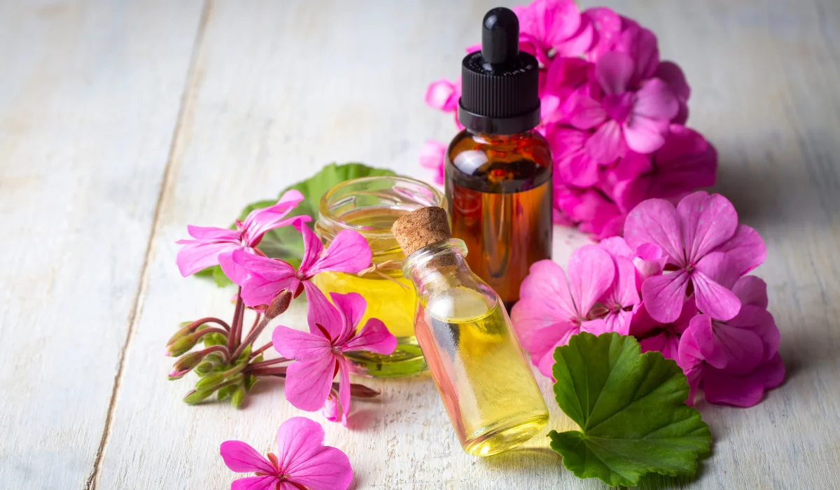 Geranium Oil