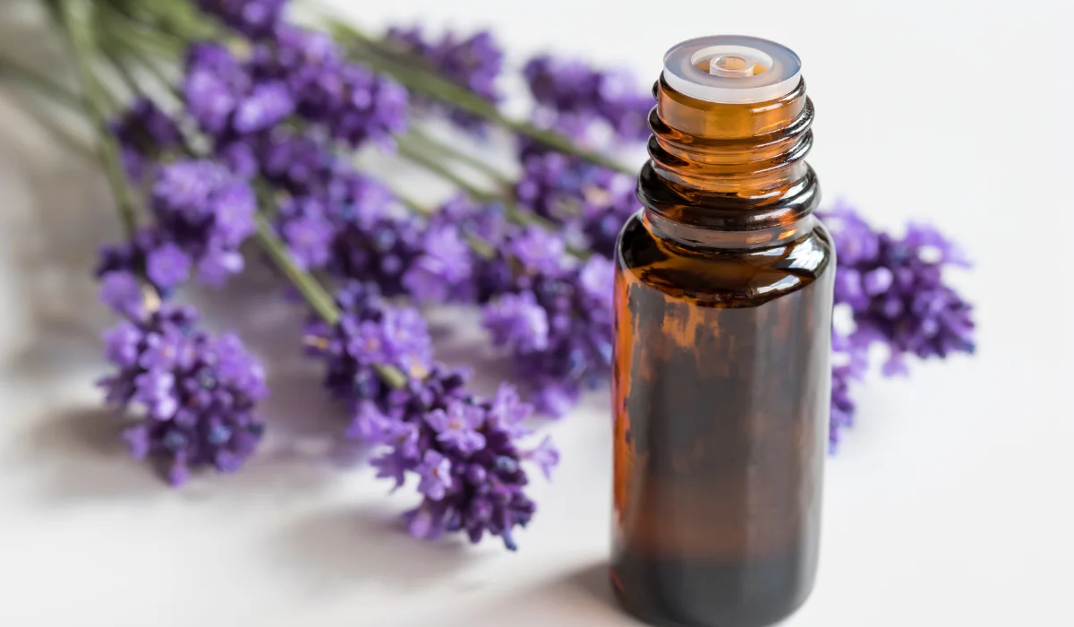 Lavender Oil