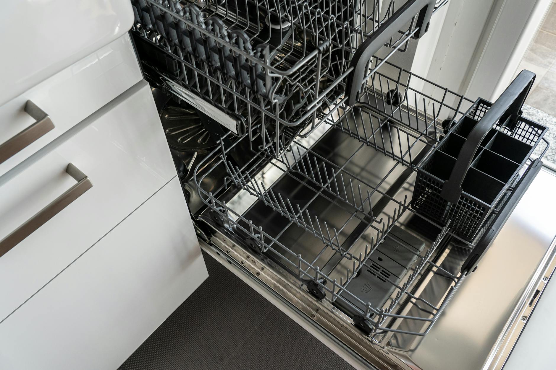 cockroaches in dishwasher